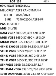 266162