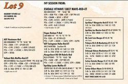 264805