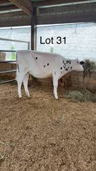 267900