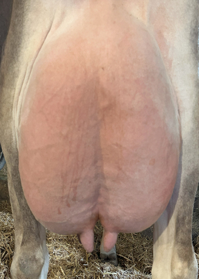 265844