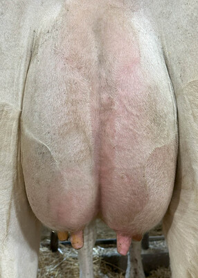 265872