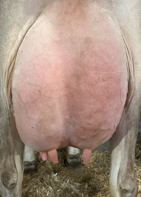 265912