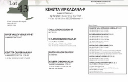 267256