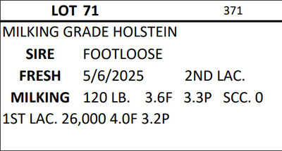 271035