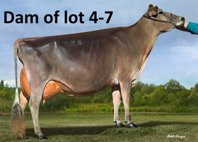 268818