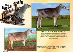 275373