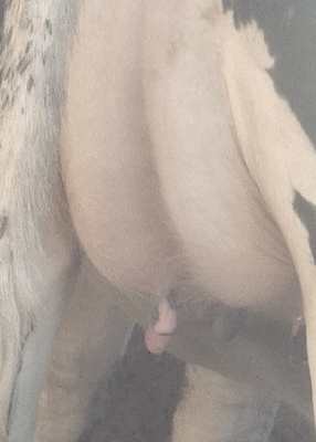 281366