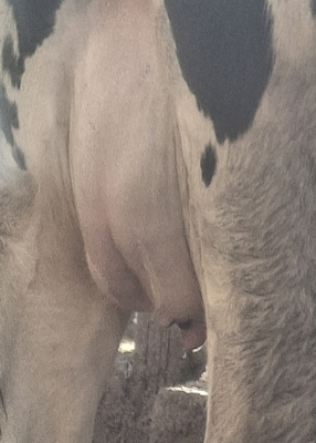 281373