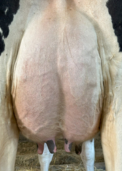 281278