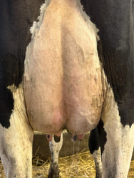 281296