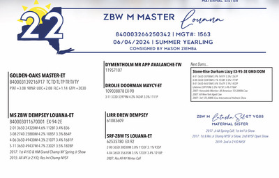 278123