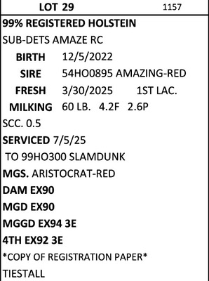 278721