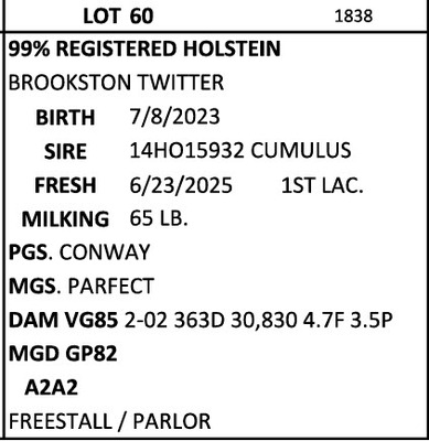 278834