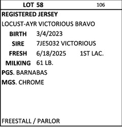 278807