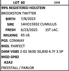 278834