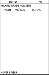 278885