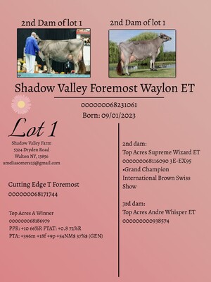 279030