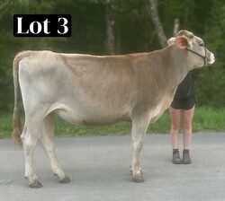 279039