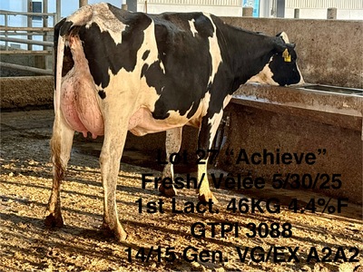 279228