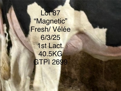 279409