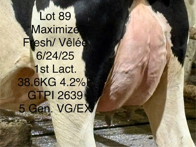 279415