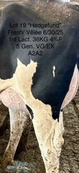 279206