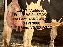 279229