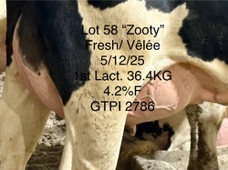 279321