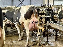 279355
