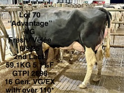 279359