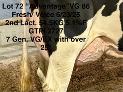 279364