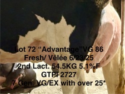 279365