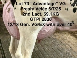 279368