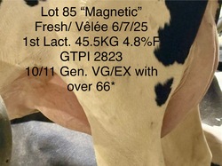 279405