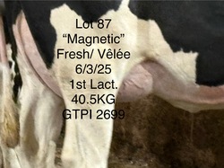 279409