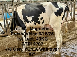 279420