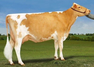 279169