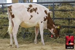 319618