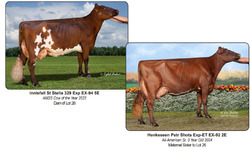 314416