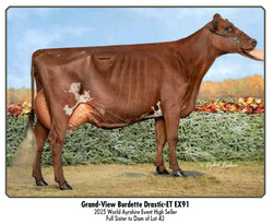 312666