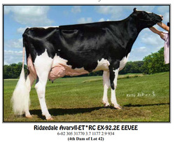 313823