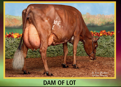 315273