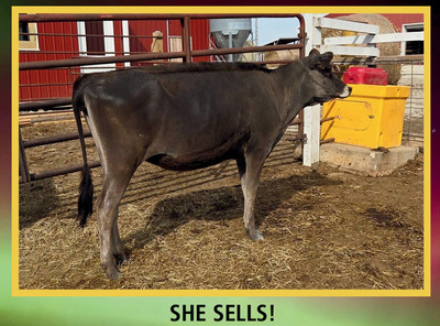315385