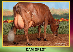 315273
