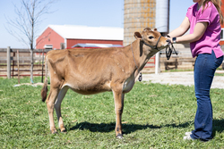 315340