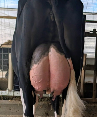 318315