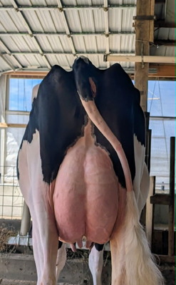 318332