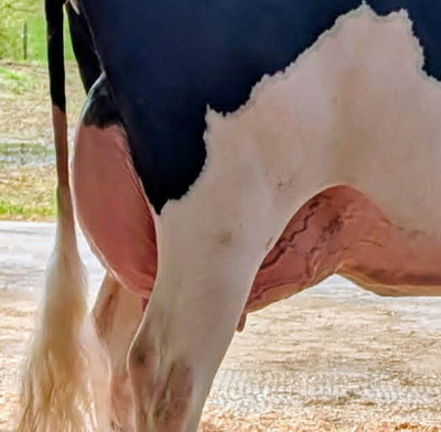 318338