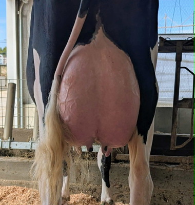 318347
