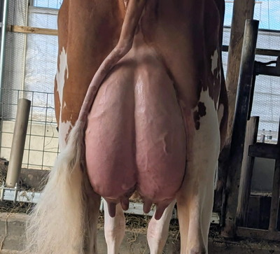 318420